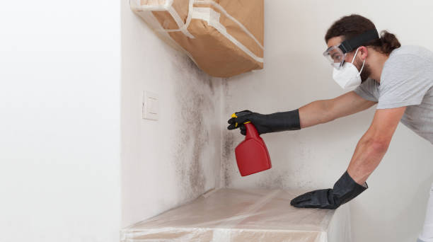 Professional Mold Removal technician working in Denver, NC