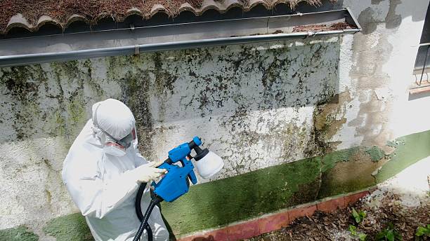 Top rated local Mold Removal specialists in Denver, NC